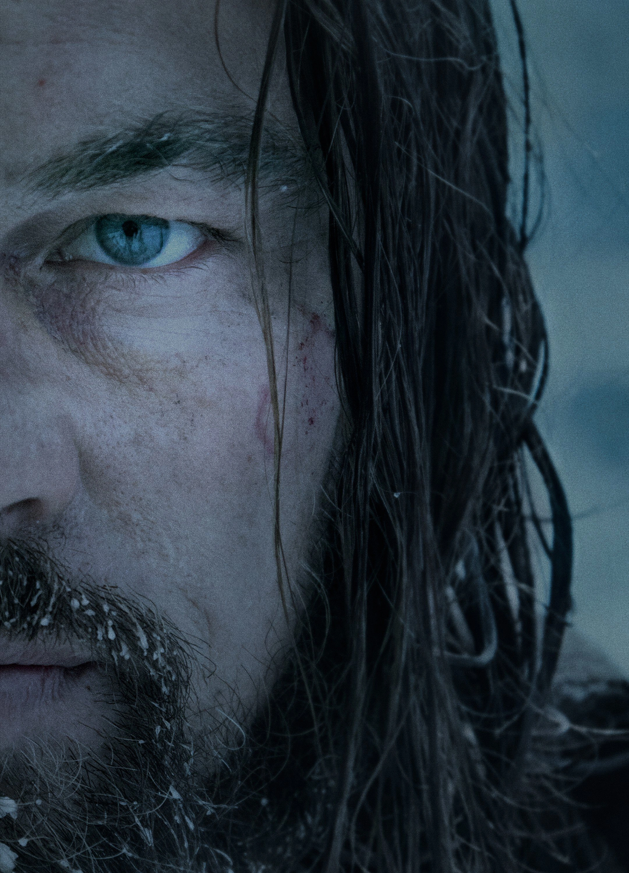 Глубокий взгляд и стойкость — Выживший - 1