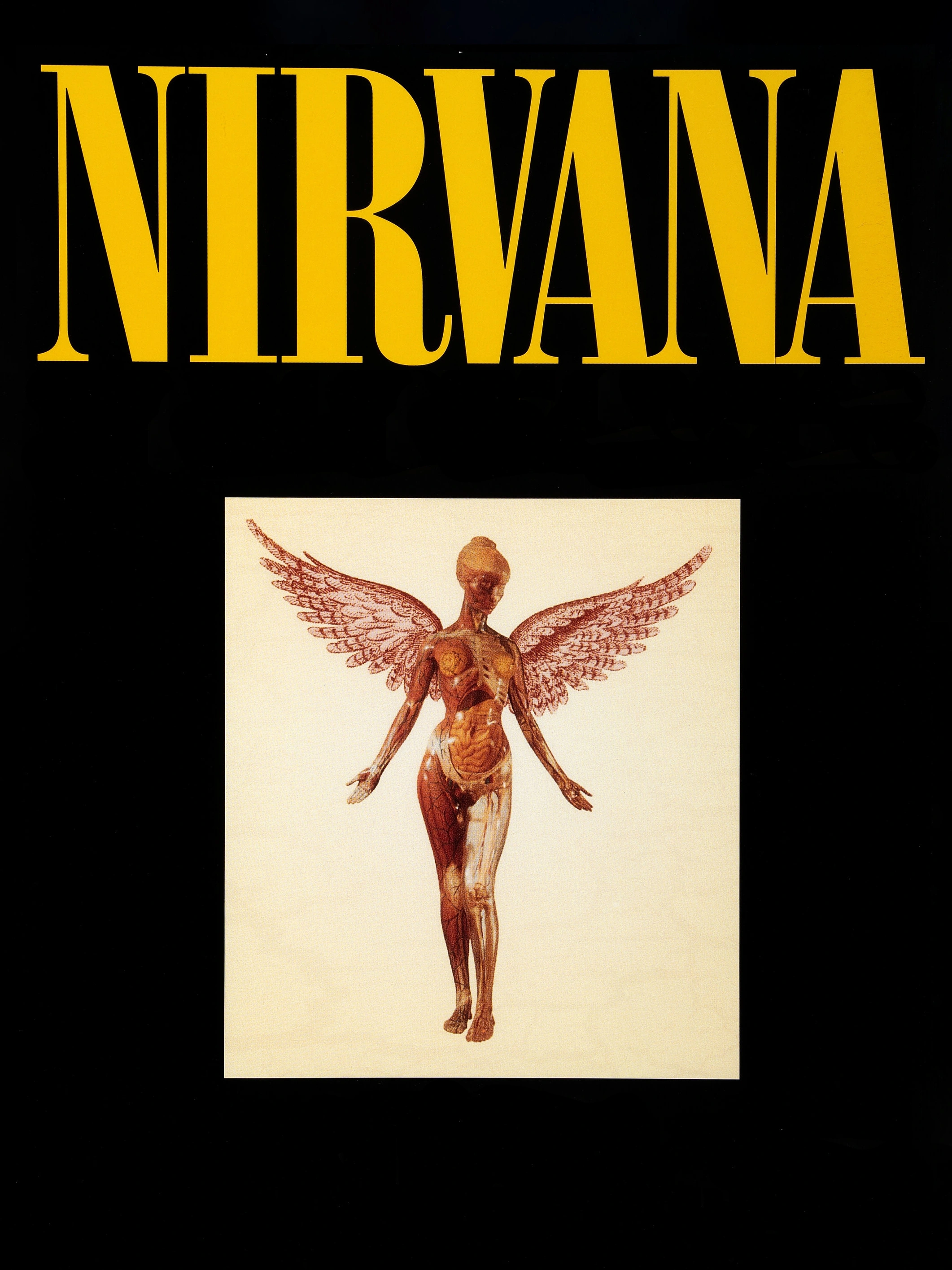 Nirvana — Обложка альбома - 1