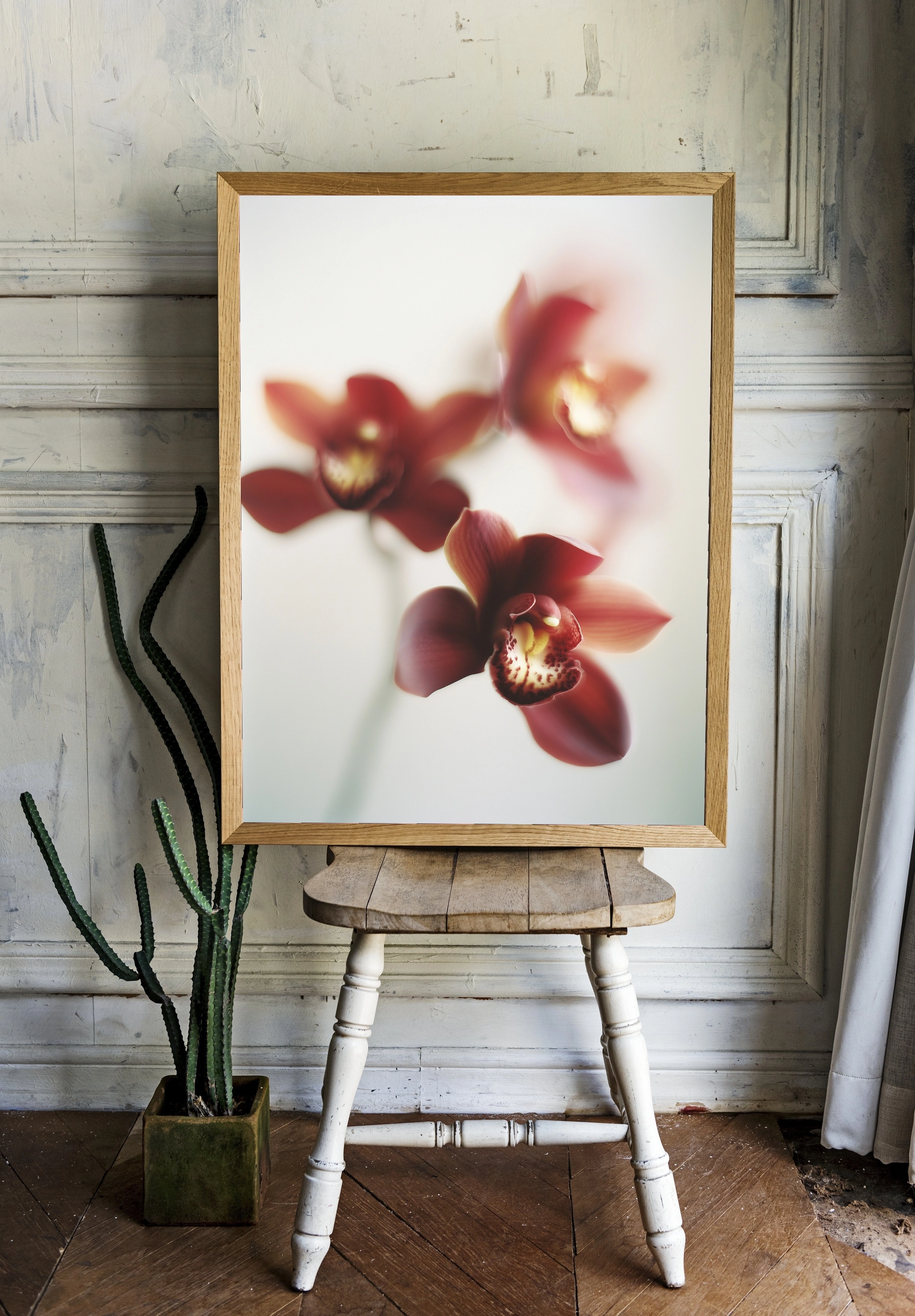 Элегантные орхидеи на светлом фоне - 2