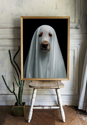 Собака в простыне: забавный призрак - 2