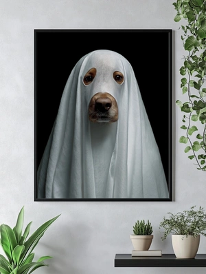 Собака в простыне: забавный призрак - 5