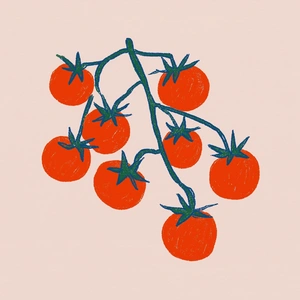 Яркие помидоры на ветке - 1