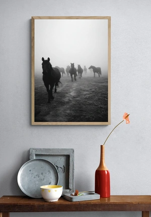 Стаи лошадей в тумане - 4