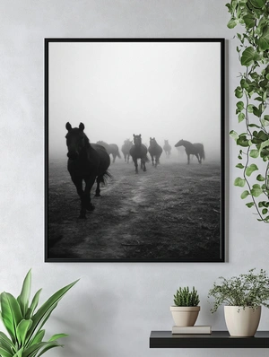 Стаи лошадей в тумане - 5