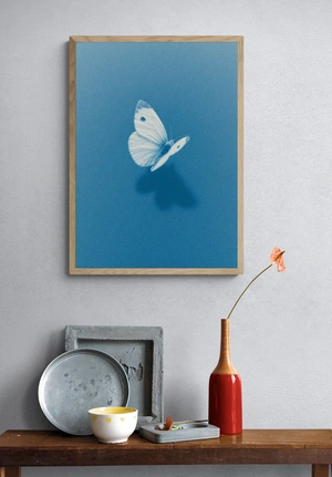 Нежная бабочка на синем фоне - 4