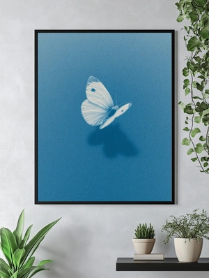 Нежная бабочка на синем фоне - 5