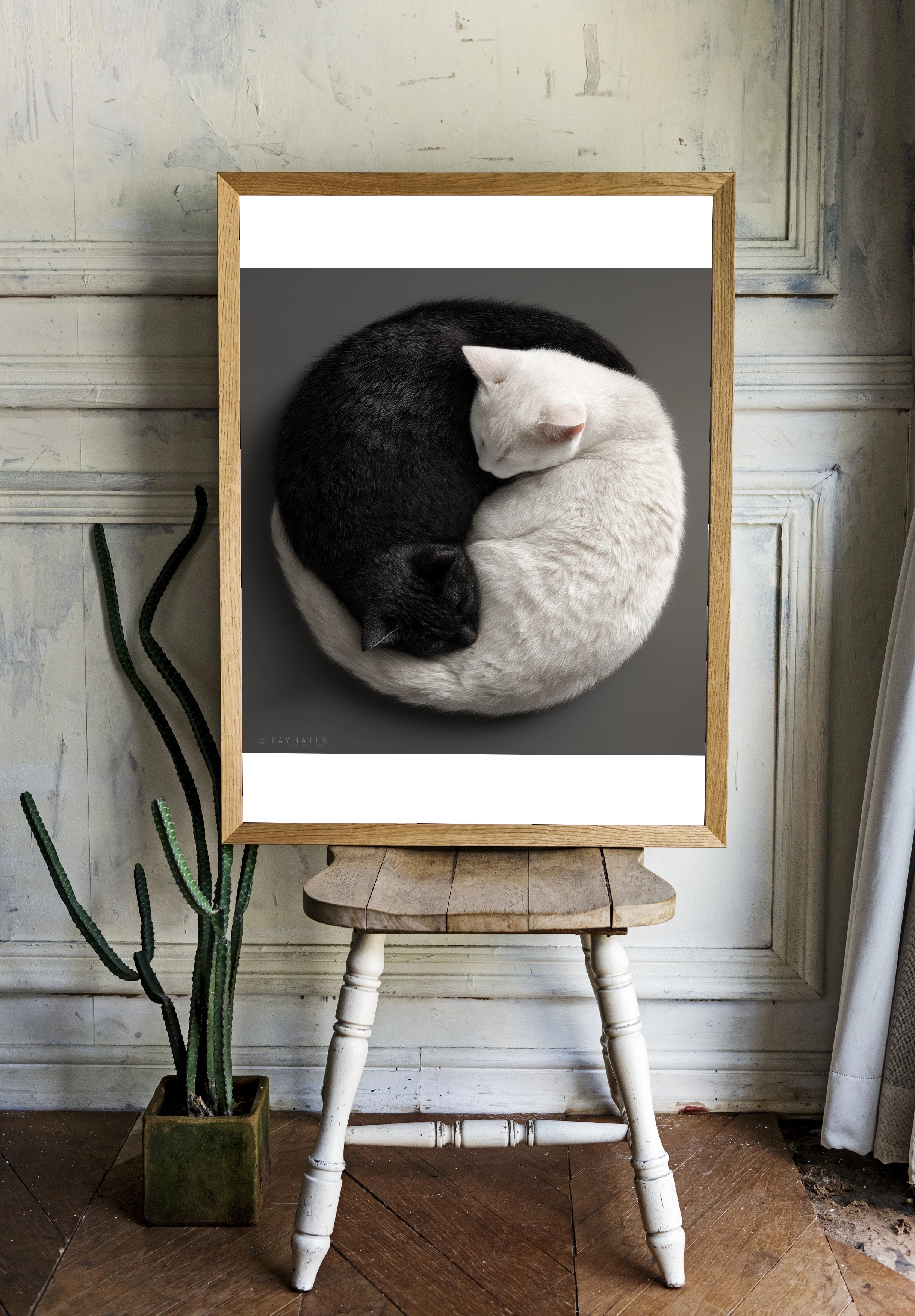 Кошачья гармония: черное и белое - 2