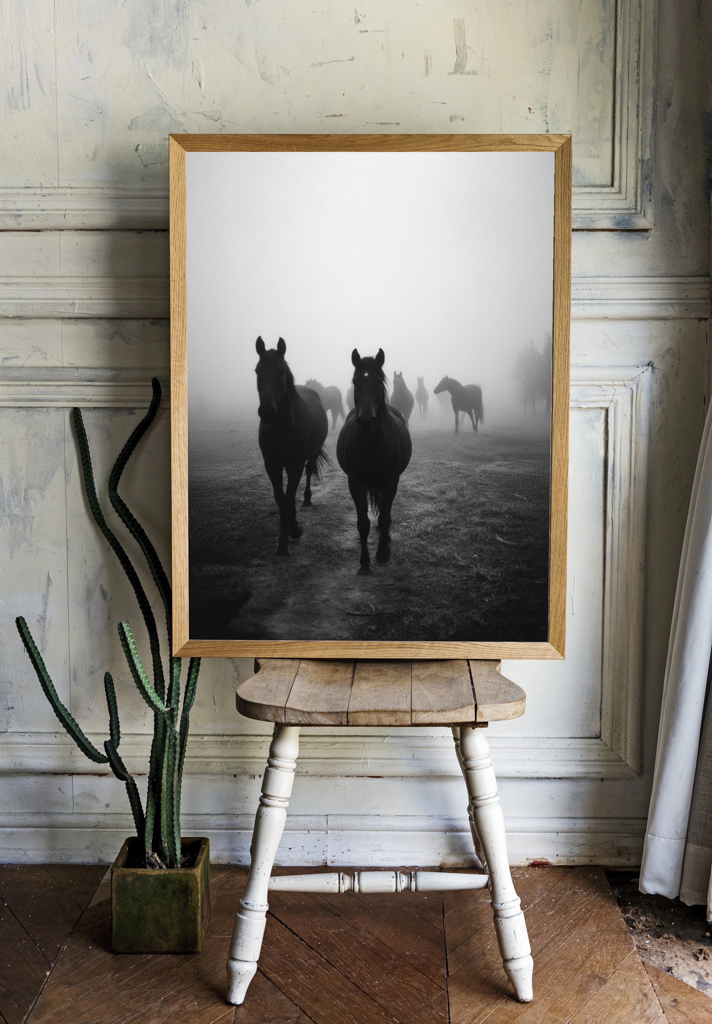 Тайна черных лошадей в тумане - 2