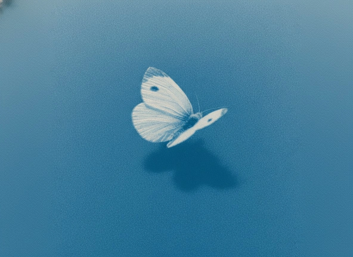 Нежная бабочка на фоне синего неба - 1