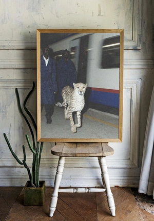 Гепард на платформе метро - 2