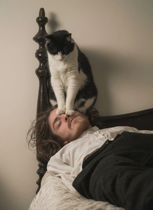 Кот на голове: забавный момент утреннего сна - 1