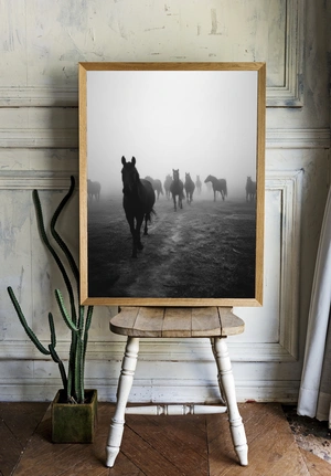 Тайна черных лошадей в тумане - 2