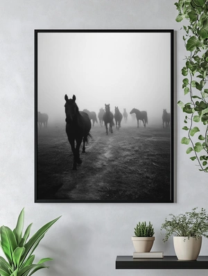 Тайна черных лошадей в тумане - 5