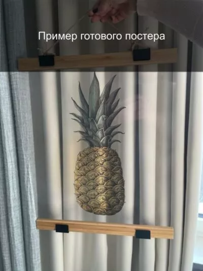 Прозрачный постер — Необычный лист - 4
