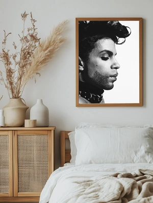 Легенда Prince - 5