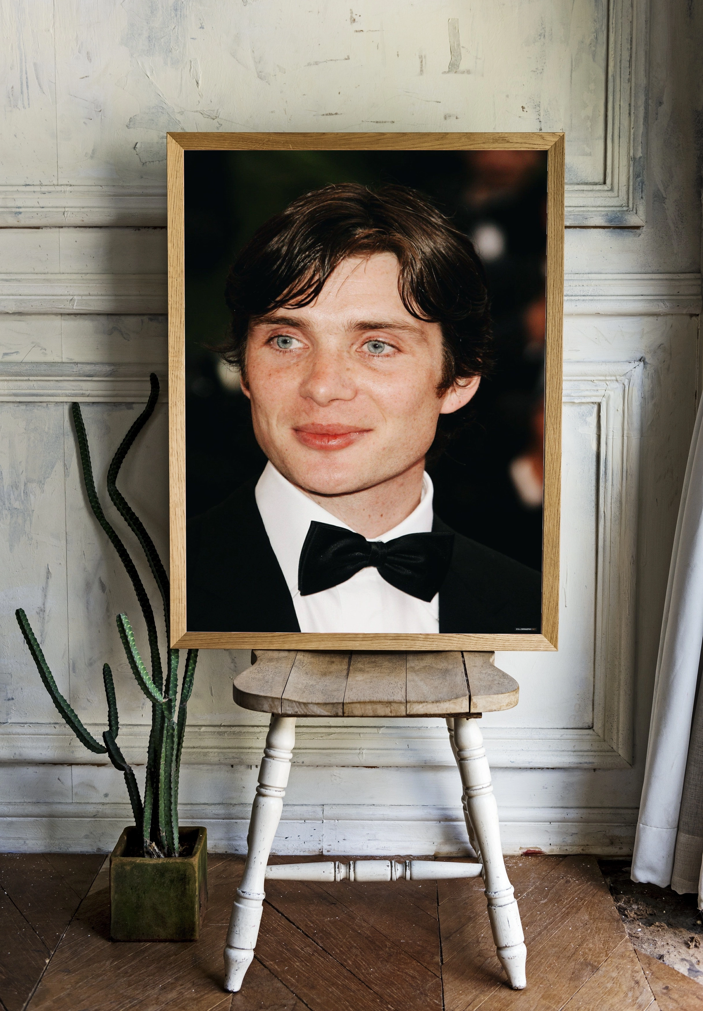 Киллиан Мёрфи — Классический портрет - 2