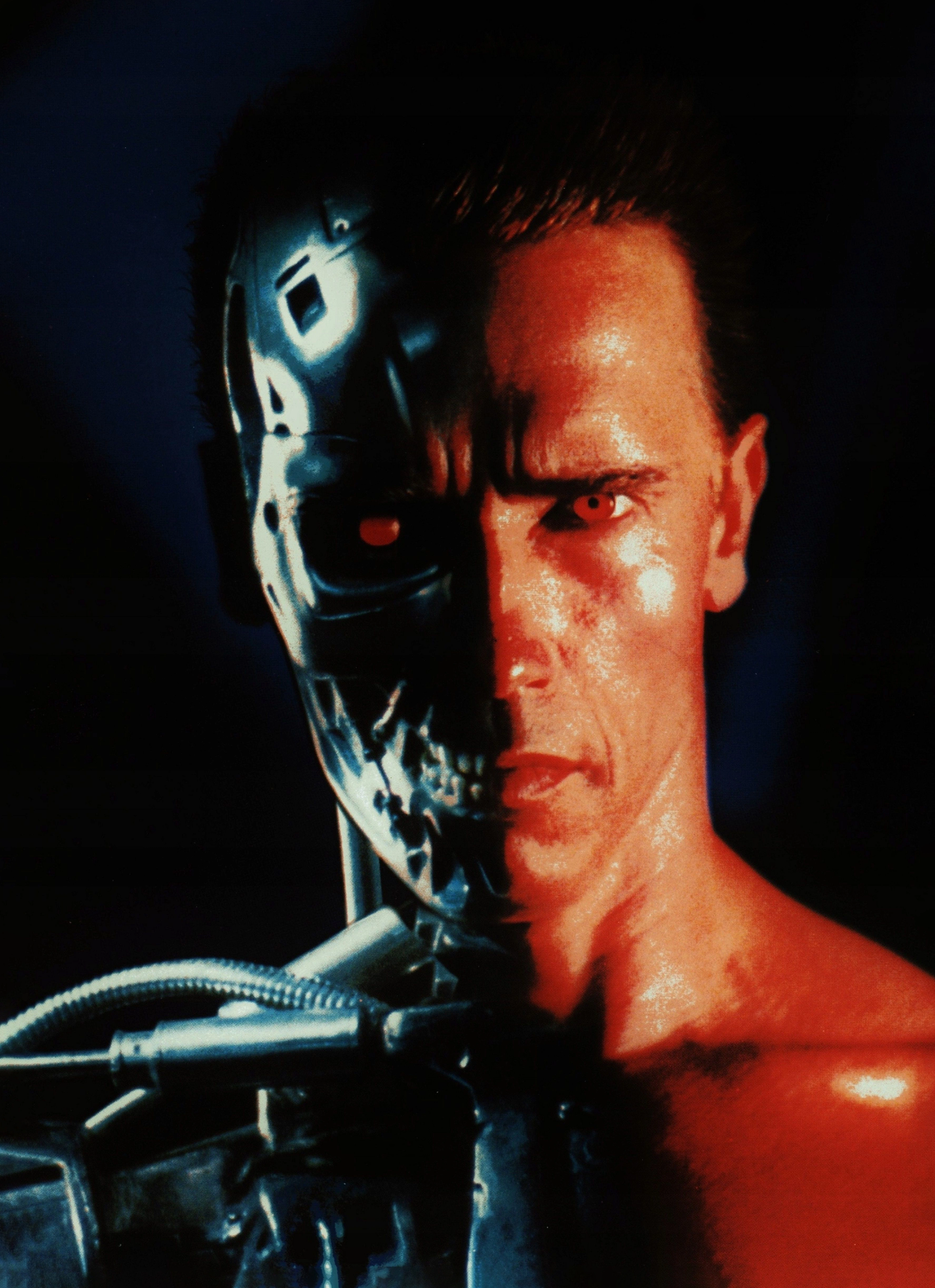 Терминатор — Культовый герой - 1