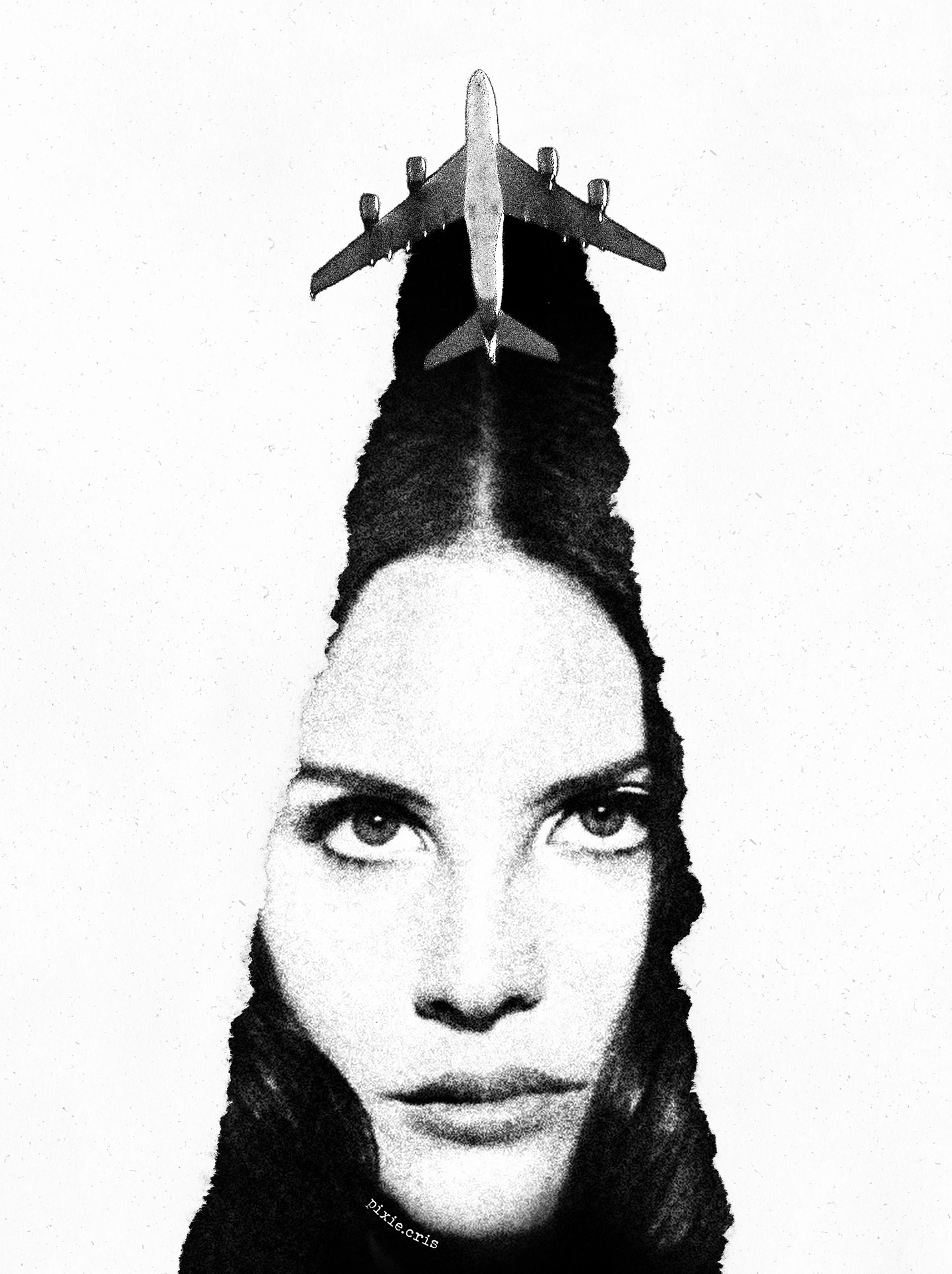 Контрастное искусство с лицом Lana Del Rey и самолётом - 1