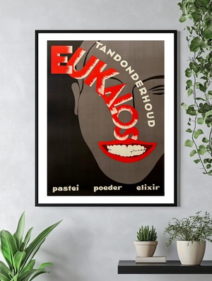 Eukalos – Tandonderhoud - 4