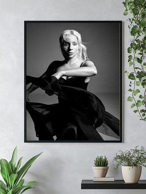 Портрет Lady Gaga в монохроме - 4