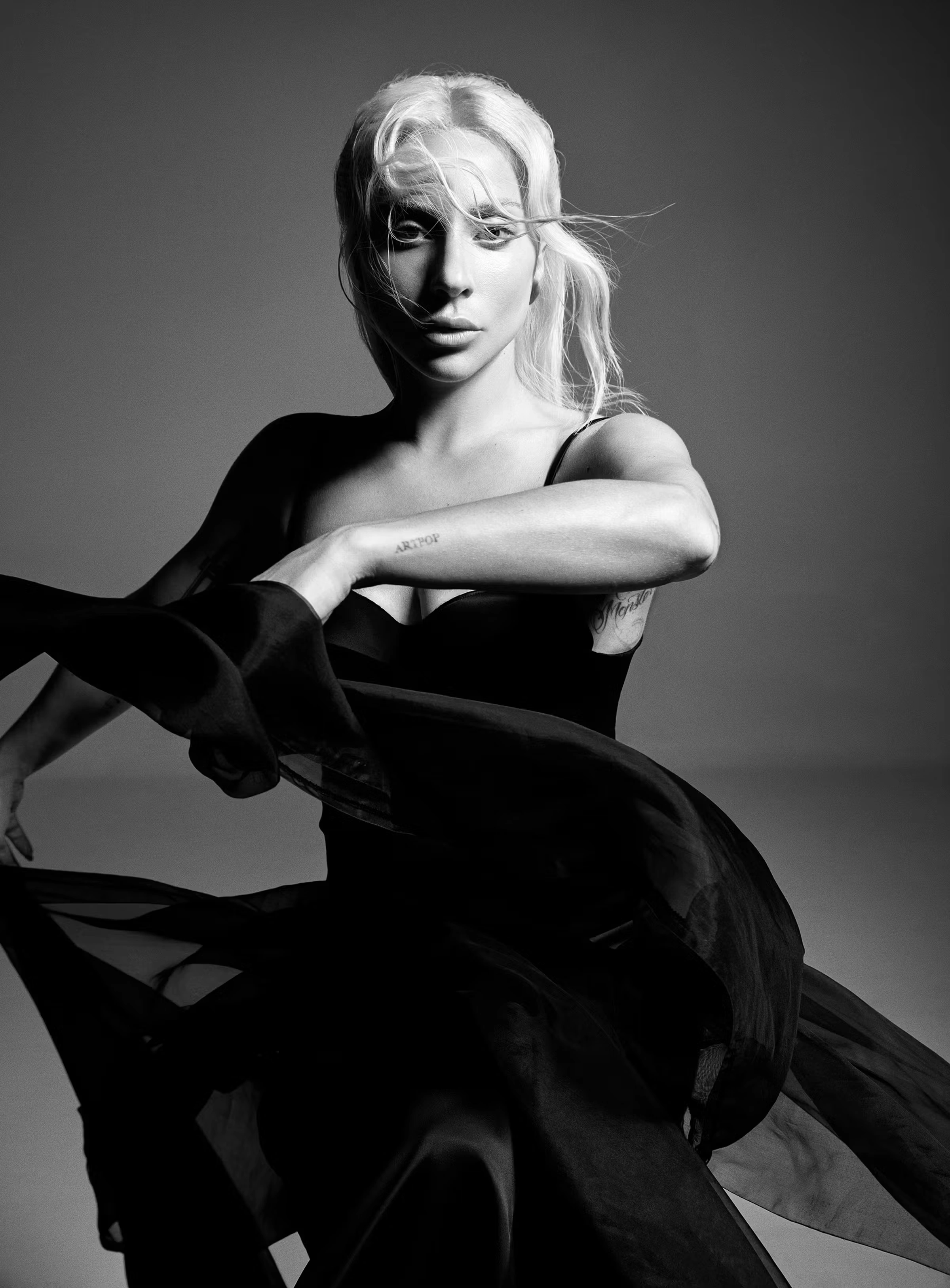 Портрет Lady Gaga в монохроме - 1