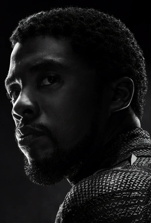 Сила и стиль героя Черной пантеры - 1