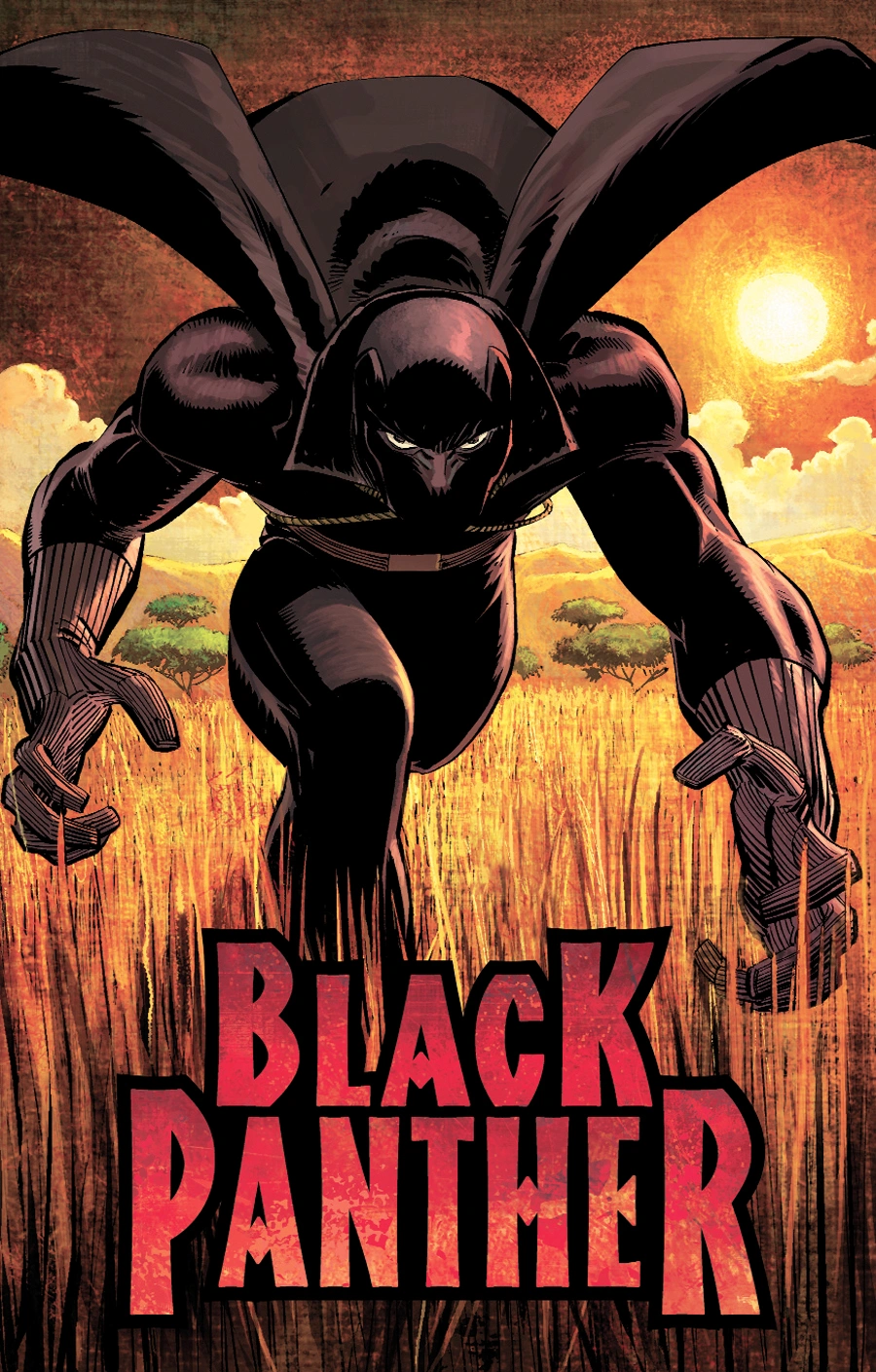Черная Пантера в динамике заката - 1