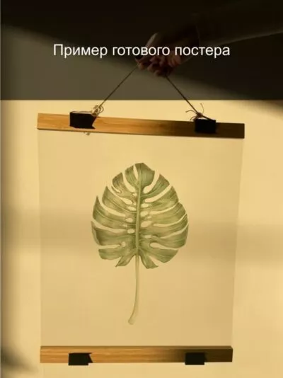 Прозрачный постер — Условный лист рябины - 3