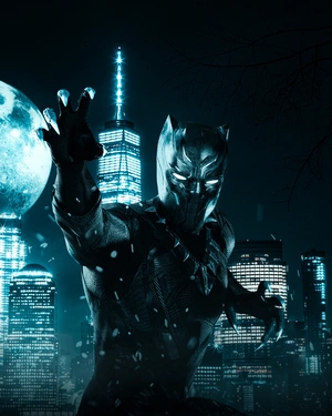 Чёрная Пантера в сиянии луны - 1