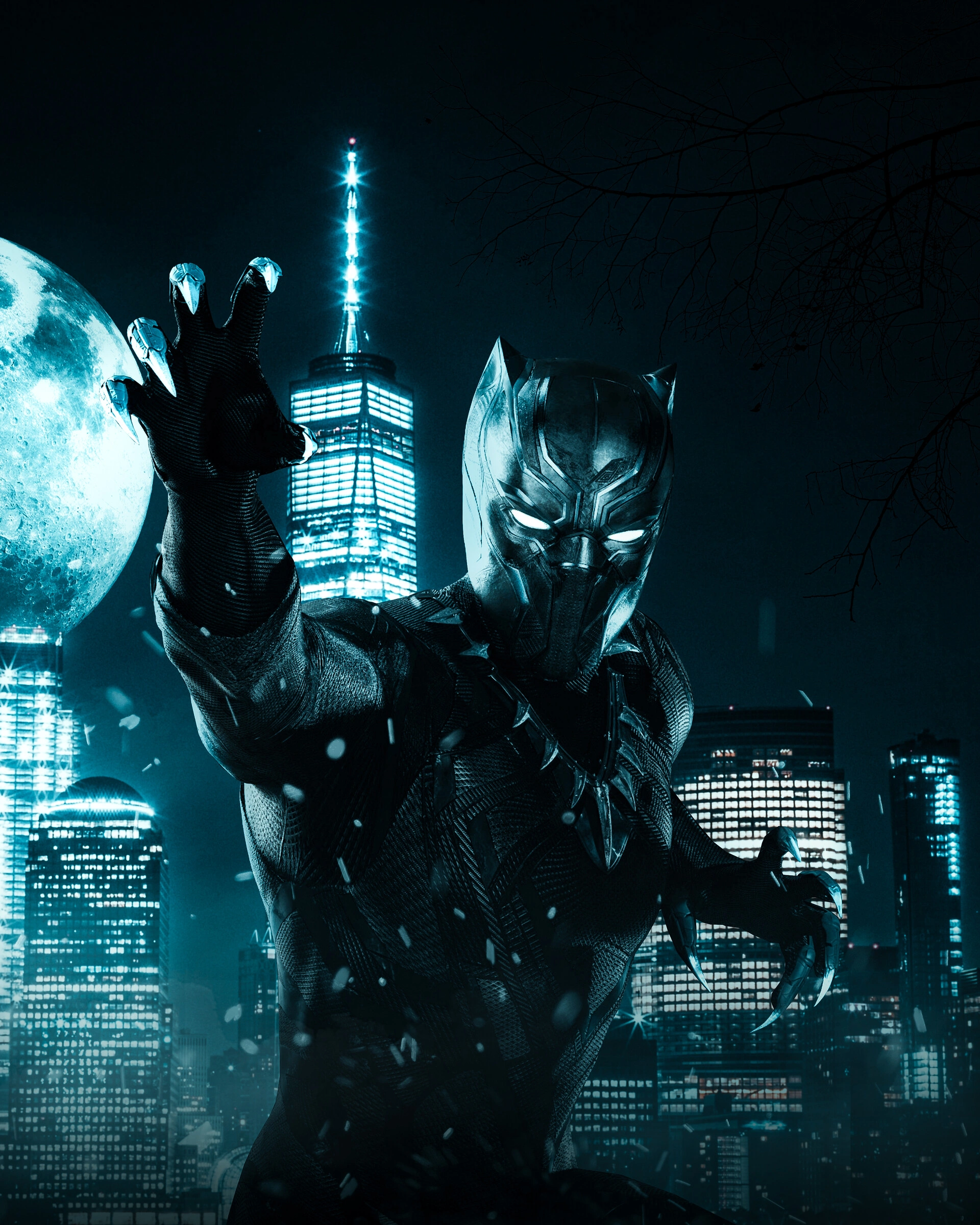 Чёрная Пантера в сиянии луны - 1