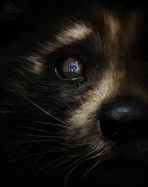 Стражи Галактики в отражении - 1