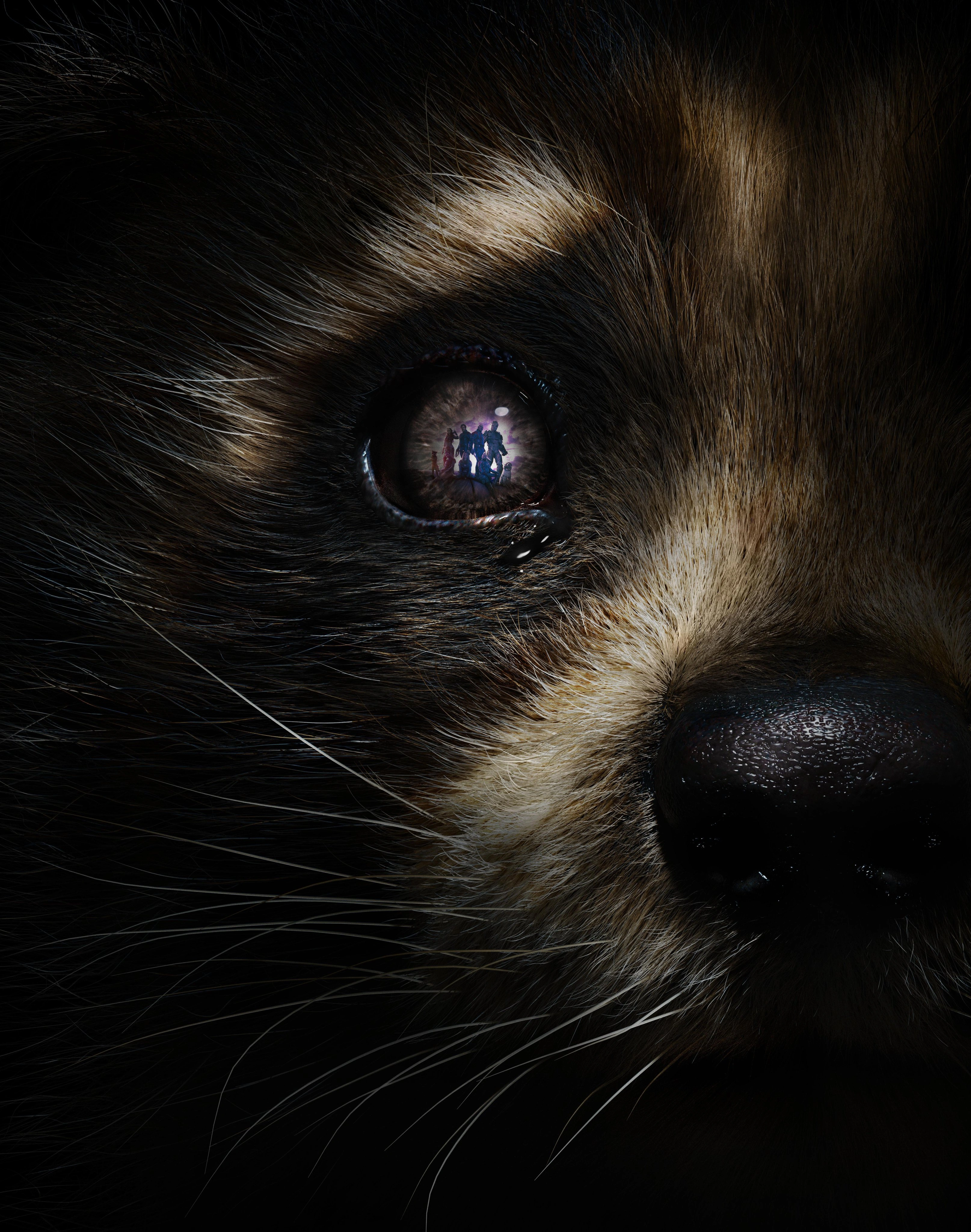 Стражи Галактики в отражении - 1