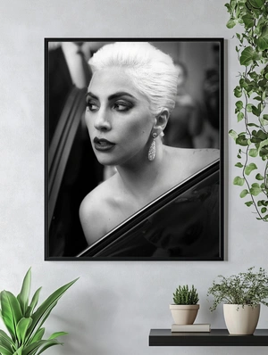Lady Gaga — Гламурный портрет - 4