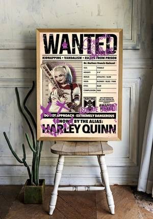 Харли Квинн в розыске - 2
