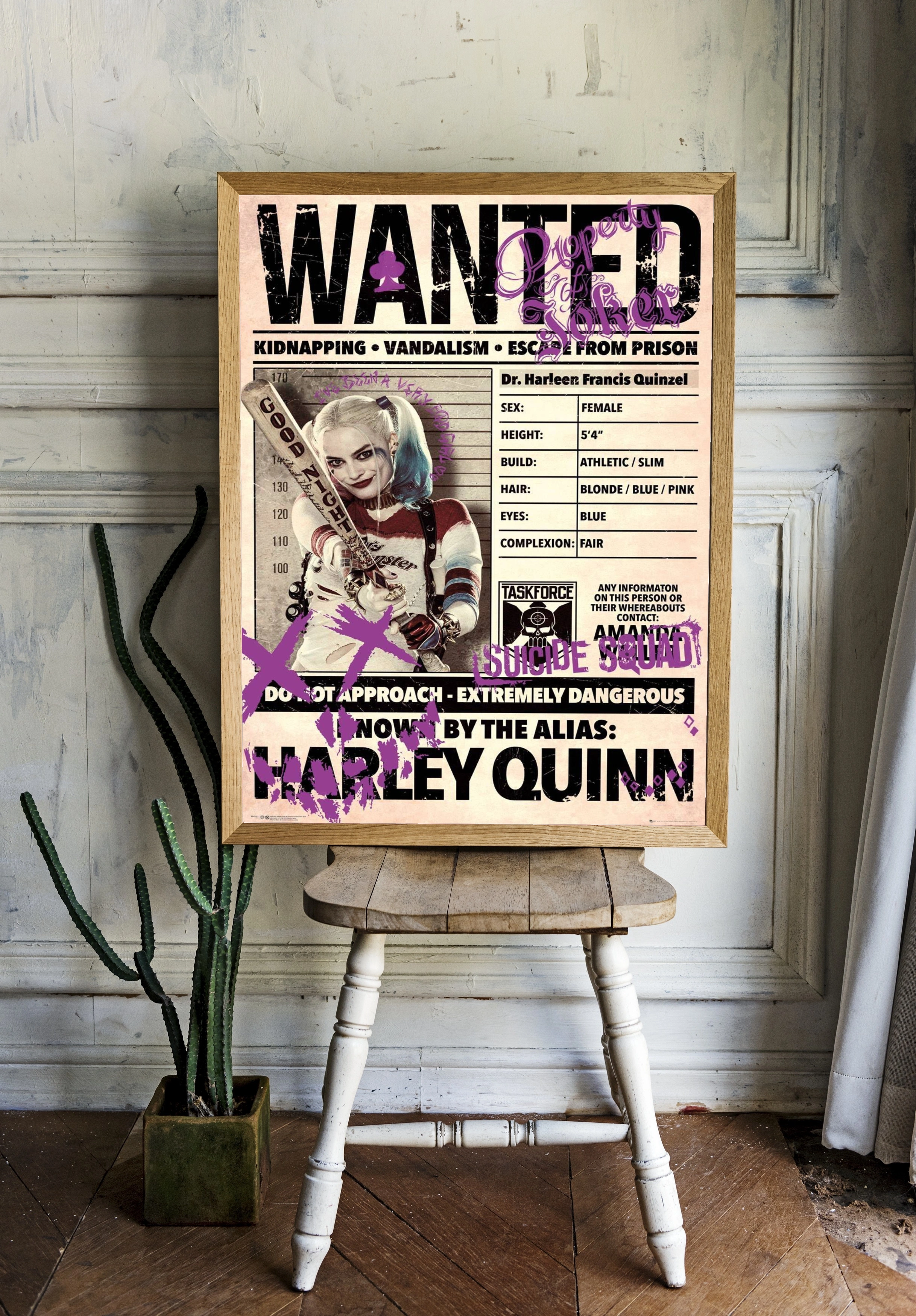 Харли Квинн в розыске - 2