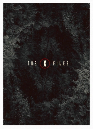Ночное расследование в стиле The X Files - 1