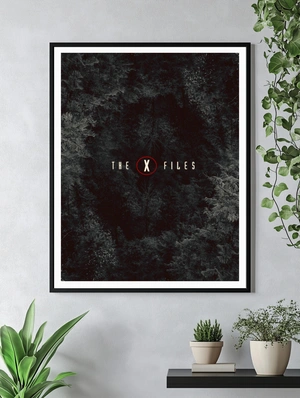 Ночное расследование в стиле The X Files - 4