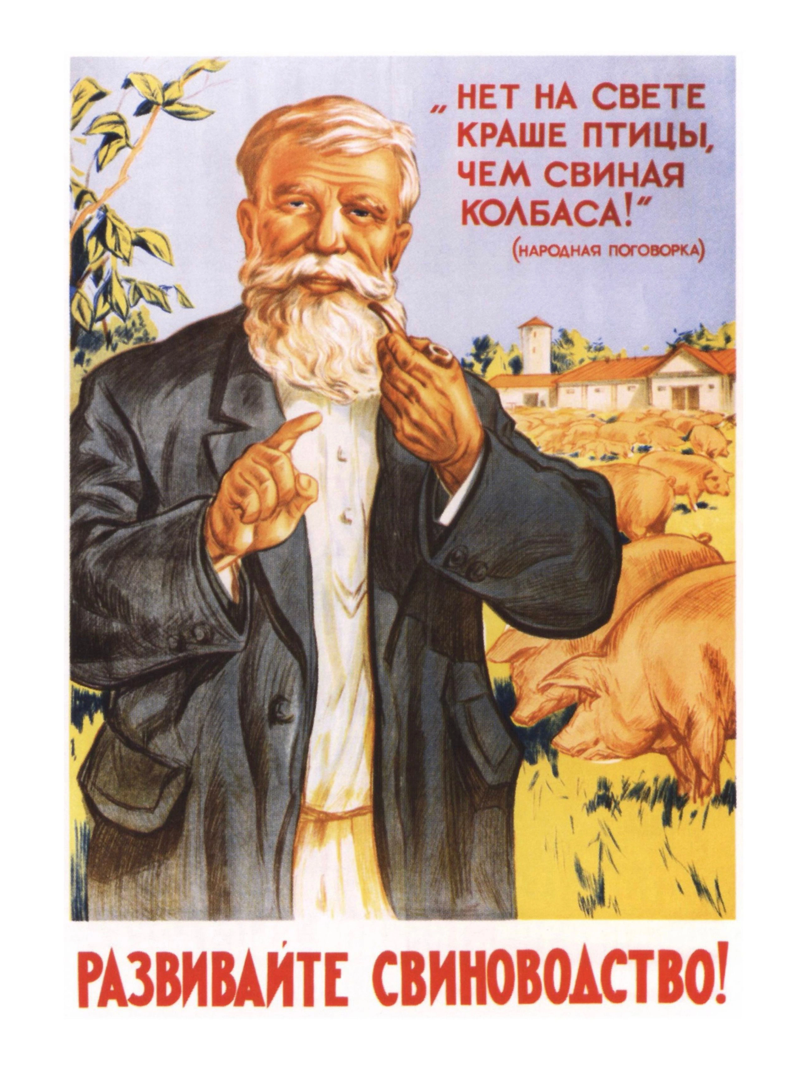 Развитие сельского хозяйства - 1