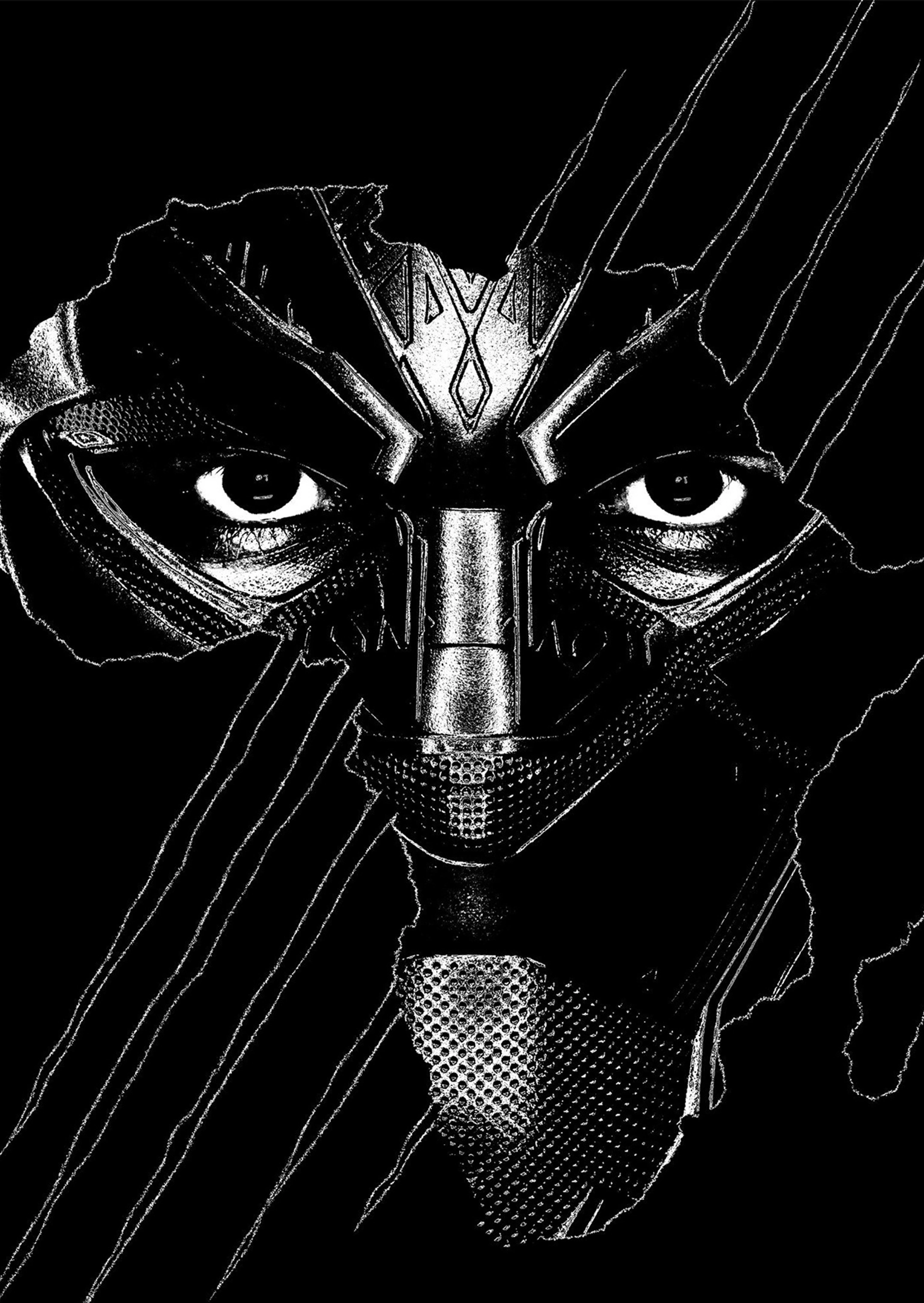 Черная Пантера — Взгляд героя - 1