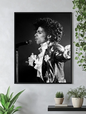 Икона музыки в чёрно-белом — Prince - 4
