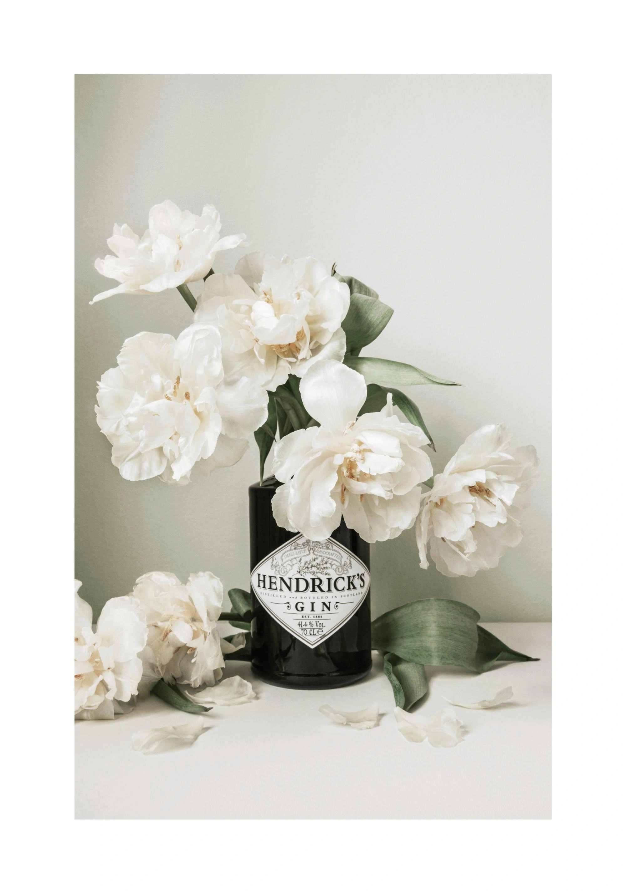 Белые цветы в стильной бутылке Hendrick’s для интерьера - 1