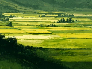 Картина летнего луга и полей - 1