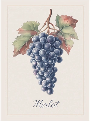 Натюрморт с виноградом Merlot - 1