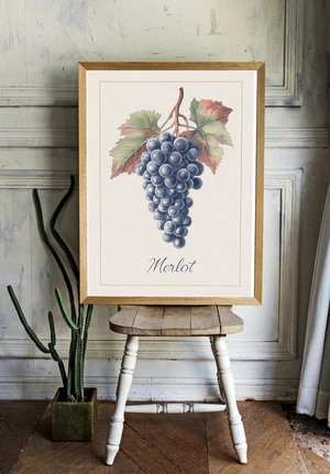 Натюрморт с виноградом Merlot - 2