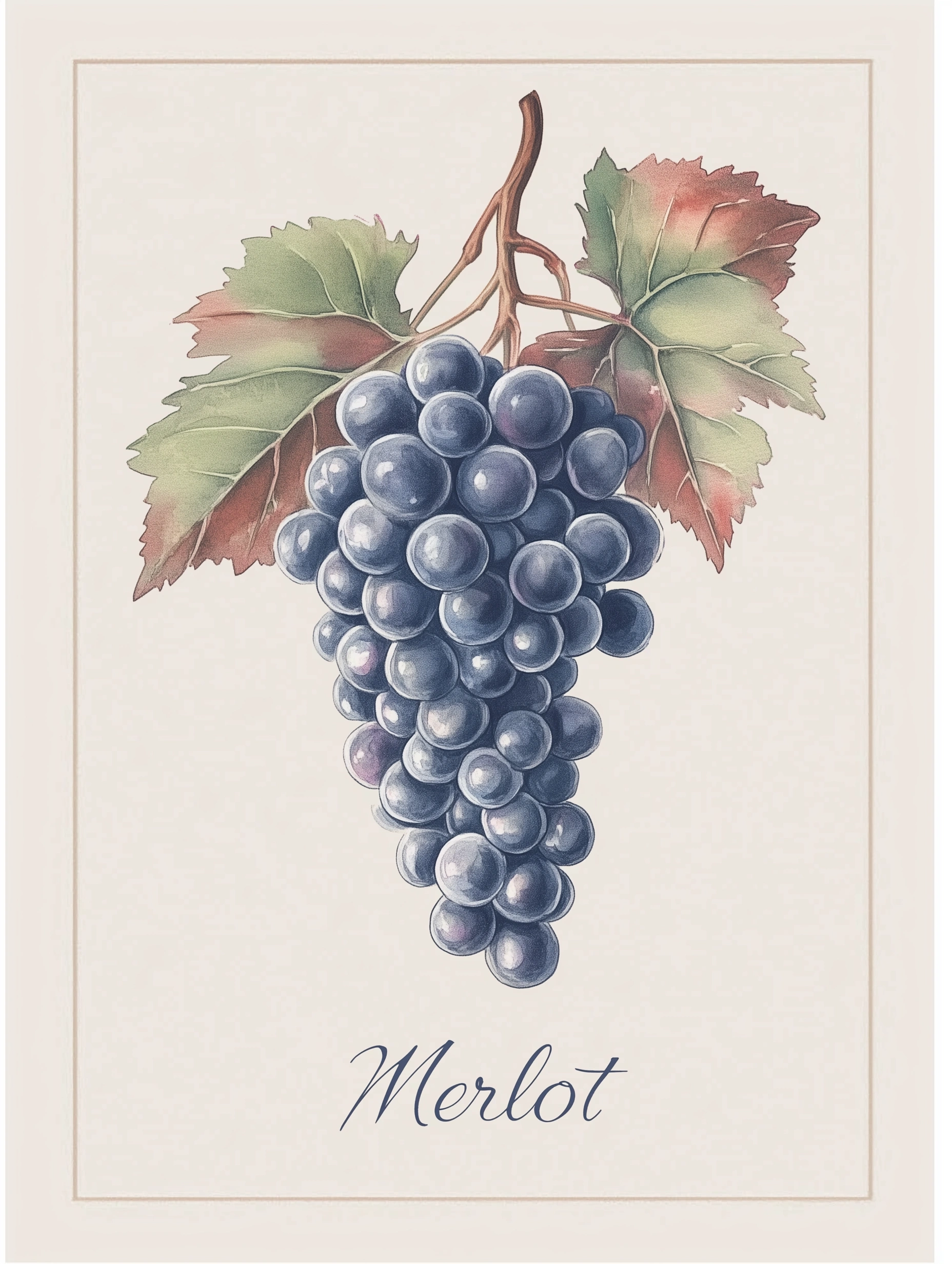 Натюрморт с виноградом Merlot - 1