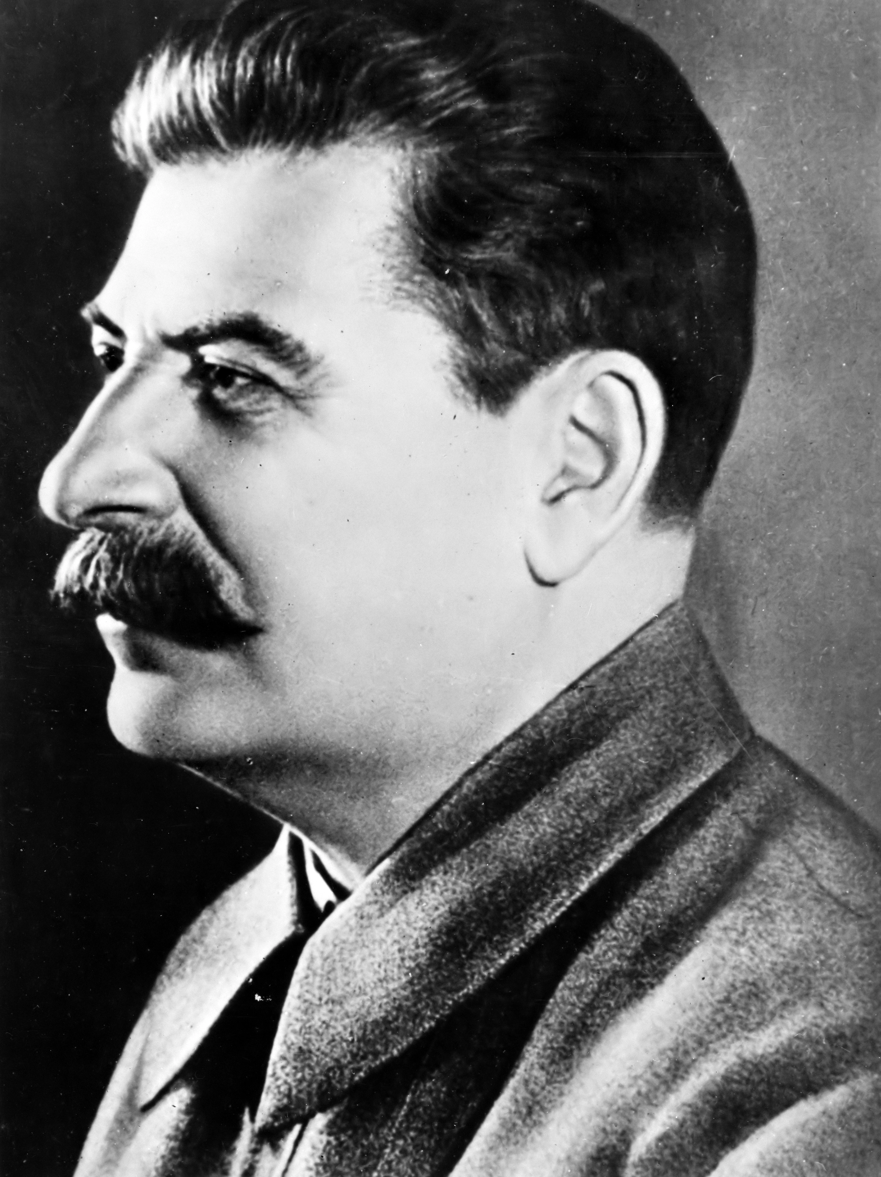 Иосиф Сталин в профиль - 1