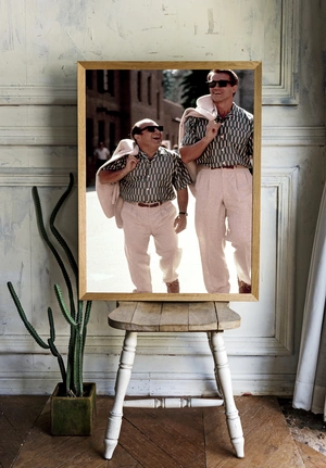 Арнольд Шварценеггер и Дэнни Де Вито - 2