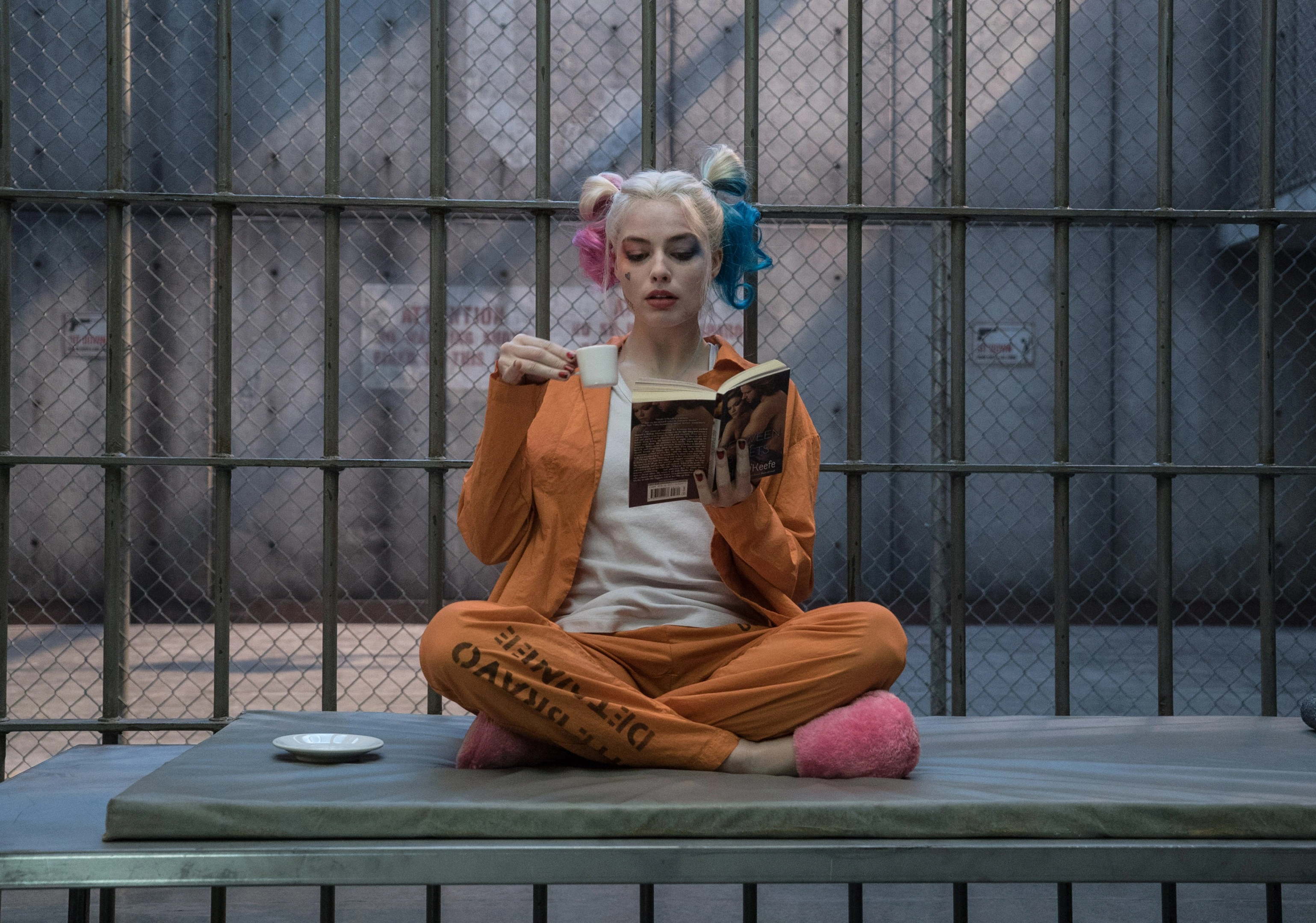 Харли Квинн с книгой - 1