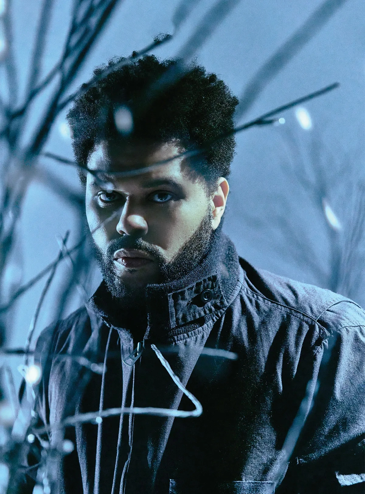 Портрет The Weeknd в холодных тонах - 1