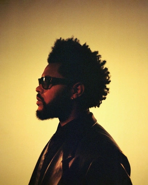 Темный силуэт The Weeknd с солнечным оттенком - 1